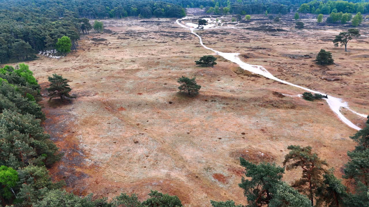 Dry grass and winding path in woods. Barren landscape with sparse greenery and a winding path cuts through the dry terrain under a clear sky