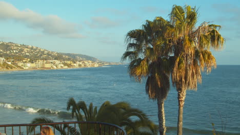 palm trees of a pacific coastline community in southern californian during sunset