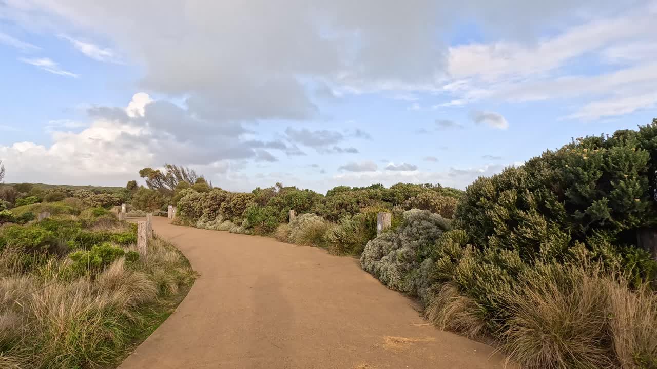 울창한 초록색으로 둘러싸인 조용한 길