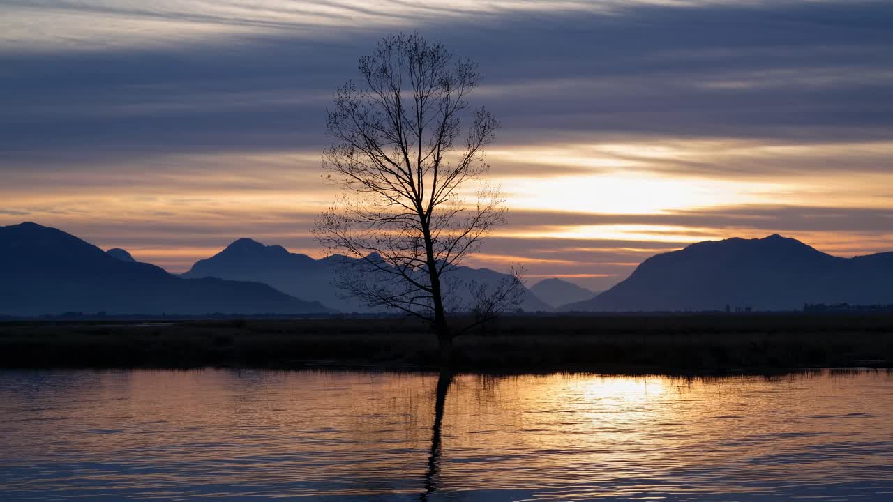 Serene sunset video with a lone tree silhouetted against mountains