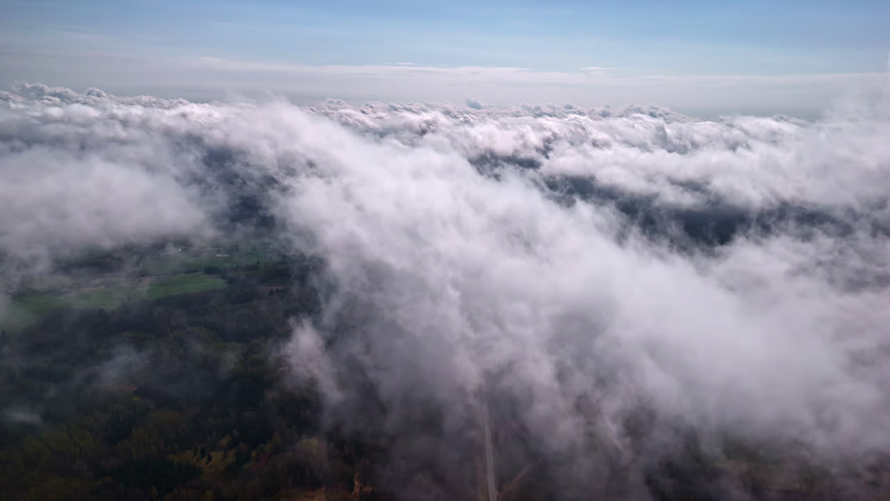 Aerial view of clouds over a vast forest landscape on a sunny day