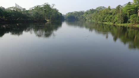 serene river through lush forest