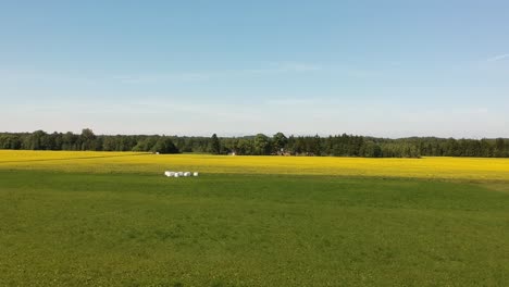 a side aerial shot near the ground over a green and yellow field with forage wrappped in white plastic