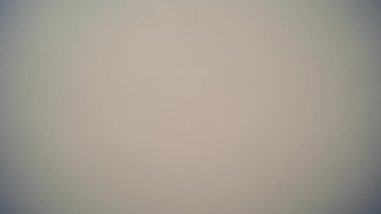 Vista dal basso di fiocchi di neve che cadono da un cielo sfocato