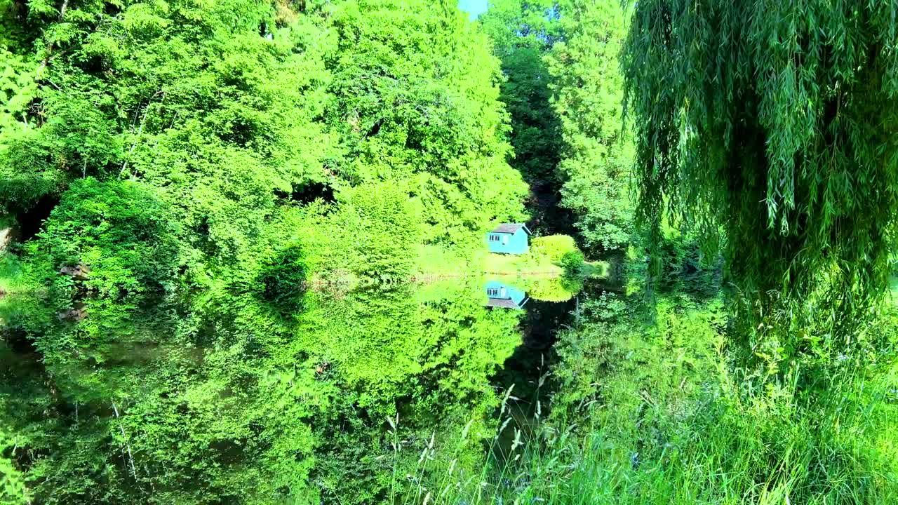 Blue wooden shed totally surrounded by trees on a sunny day