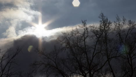 dramatic sky over trees