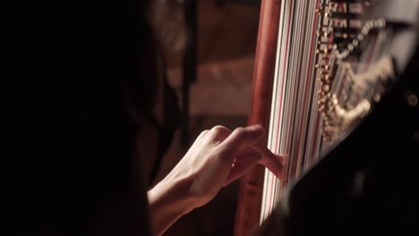 niña tocando el arpa con las manos, un solo punto de luz, sobre el hombro