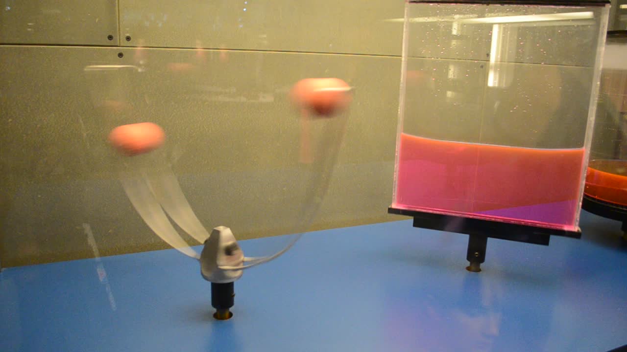 CosmoCaixa Barcelona is a science museum located in Barcelona, Spain