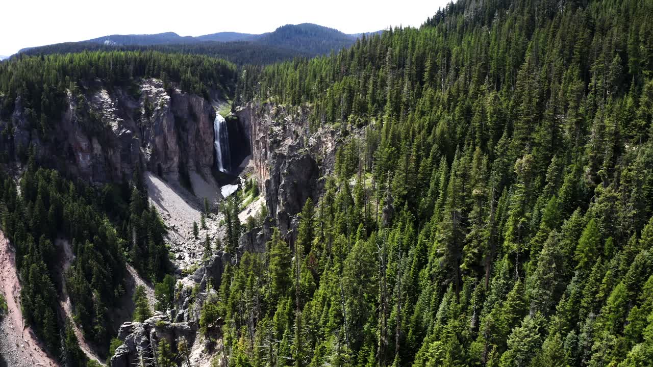 Scenic aerial shot flying over dense lush Evergreen forest in the wilderness revealing a waterfall flowing down a cliff side in the distance in the Pacific Northwest.