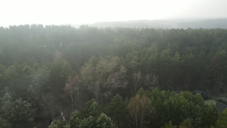 Drone-flying-backwards-over-green-trees-where-autumn-colors-also-breaking-true-on-a-cloudy-day-in-Bartoszylas,-Poland