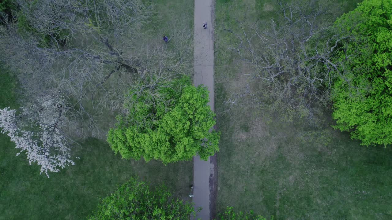 Aerial birds eye view of cyclist as he cycles through nature path