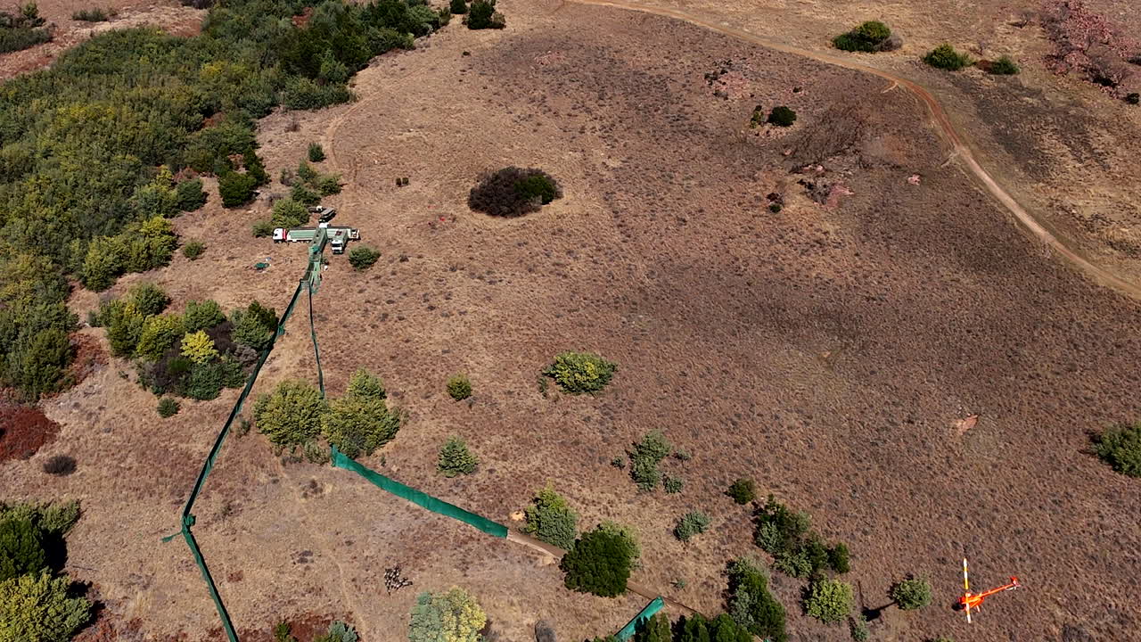 Chopper directs wildebeest onto loading trucks for capture and relocation. Drone