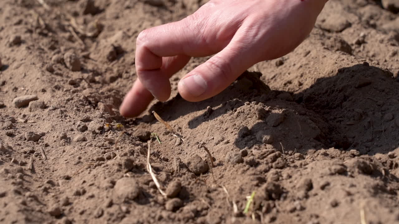 un hombre está rastrillando surcos con las yemas de los dedos