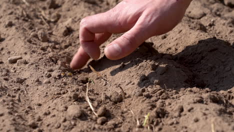 a man is raking furrow with his fingertips