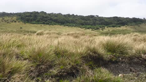 Malerischer-Blick-Auf-Das-Grünland-Aus-Dem-Seitenfenster-Des-Fahrenden-Fahrzeugs,-Straße-Zum-Nationalpark-Horton-Plains