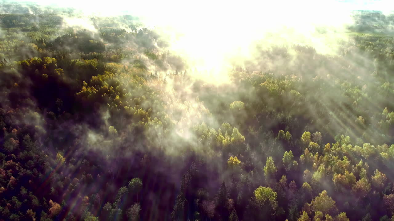 paisaje místico de bosques, sobre los cuales flota niebla y vapores, a través de los cuales brillan los rayos dorados del sol