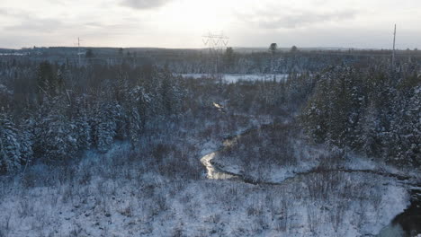 Torre-De-Energía-Eléctrica-Y-Líneas-En-Un-Bosque-Rural-De-Invierno,-Aérea