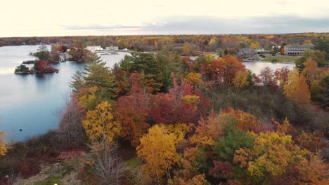 the astonishing autumn forest around a calm lake