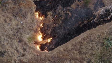 sequía incendios forestales y humo