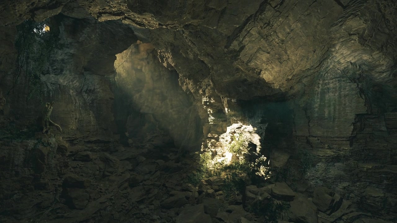 Soft rays of light emphasize mossy rocks and lush green leaves