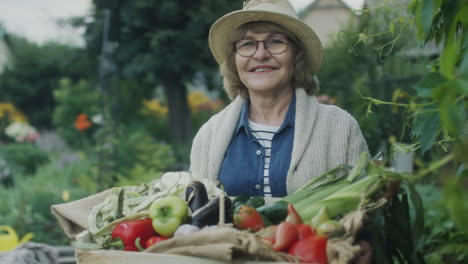 portrait of senior woman with box of garden vegetables