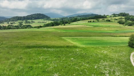 meadow with summer flowers and beskid mountains fields and pastures landscape