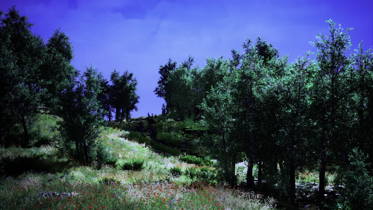 Paesaggio sereno con vegetazione lussureggiante e vivaci fiori di campo in una giornata di sole