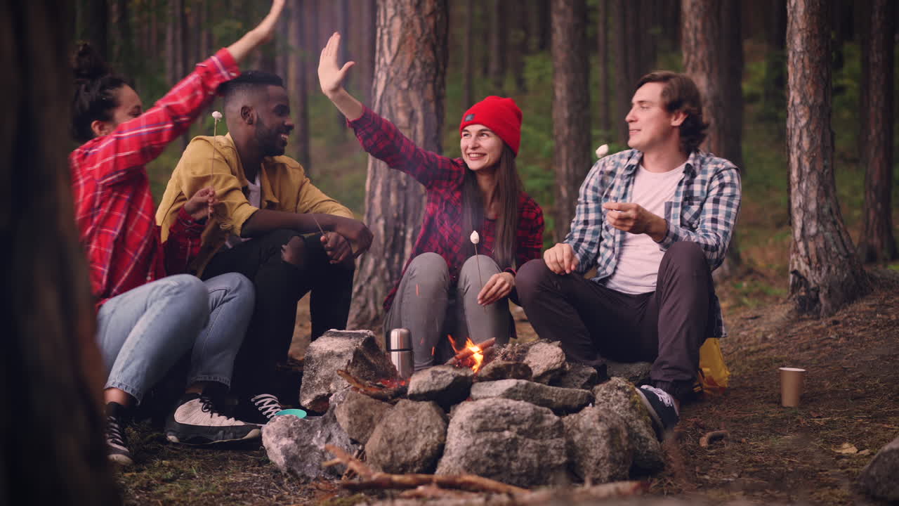 Venner griller marshmallows ved et bål i skogen