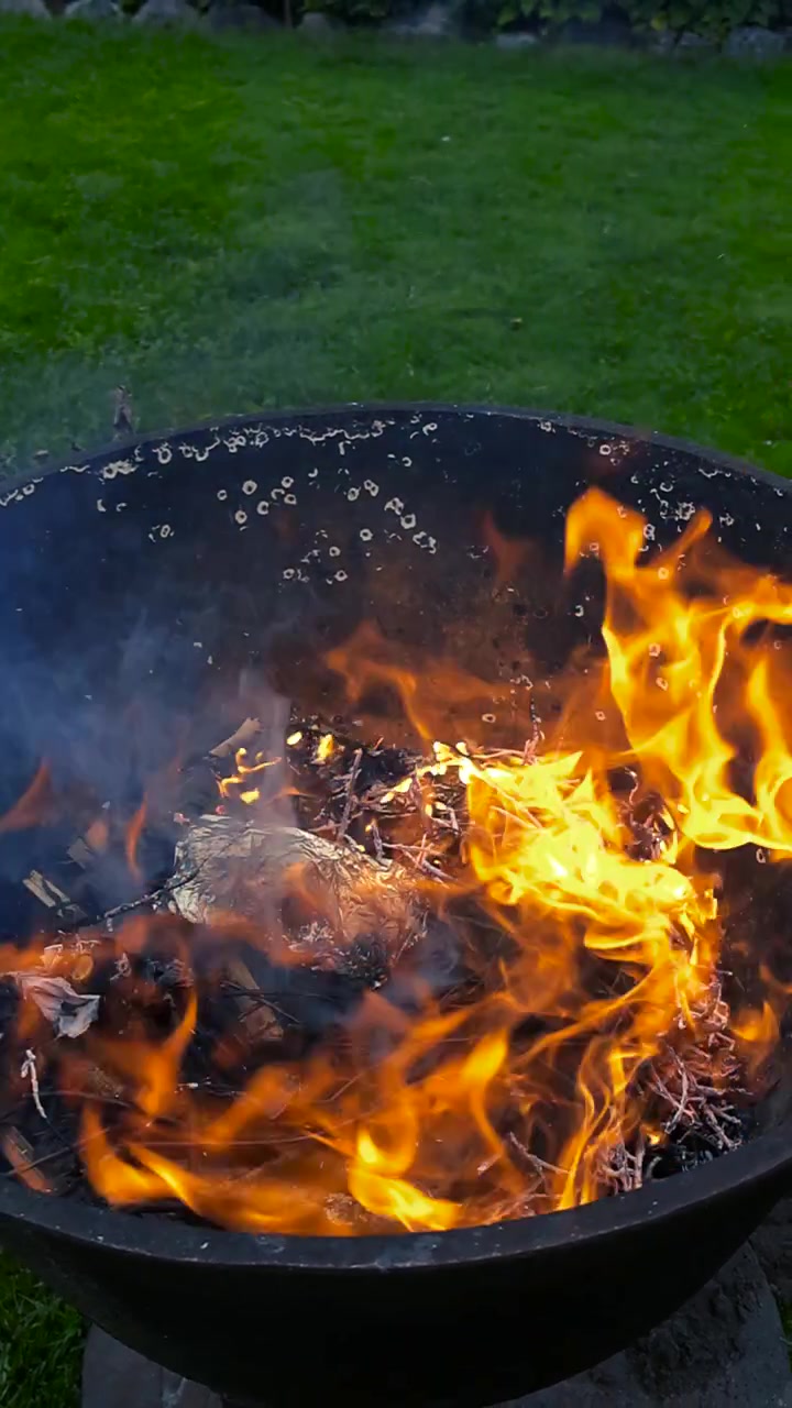 Akşam bahçe barbeküsü sırasında, arka planda yemyeşil bir çim alanla, siyah metal bir ateş çukurunda çıra ve dalları yakan parlak turuncu alevler