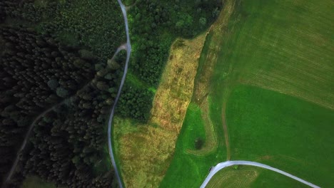 aerial top view of a mountain road going through green fields and forest trees