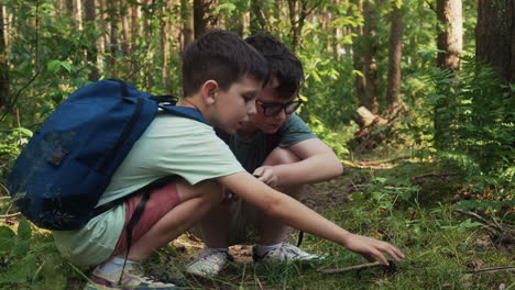 dos niños descubriendo algo en el bosque.