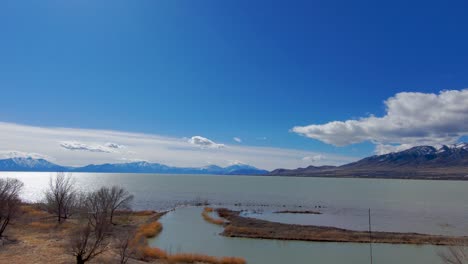 huge lake with mountains in the background - aerial view pull back shot flying close to the tree branches