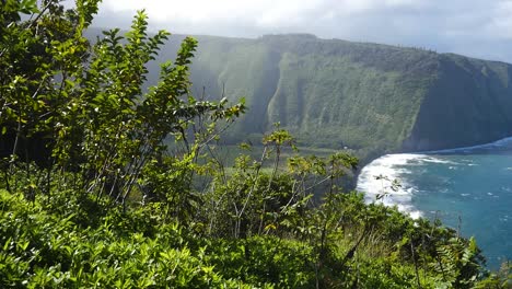 waipio valley from the visitor lookout on a sunny spring day with clouds and surf as well as local vegetation