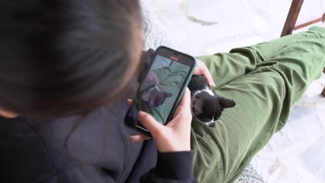 young woman recording video of kitten