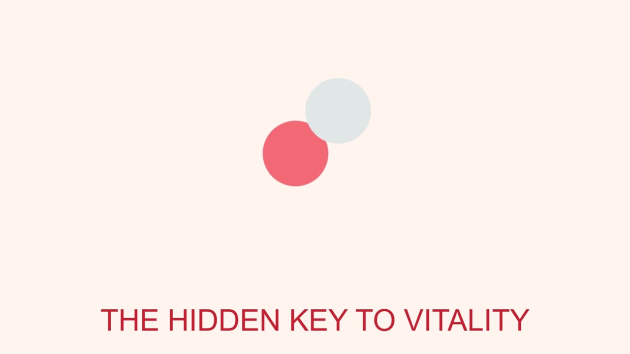 Minimal typography animation featuring hidden key to vitality message with abstract moving circles on soft background creating modern conceptual visuals