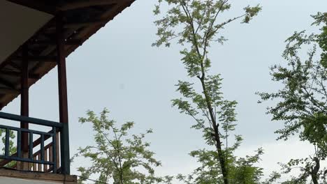 gotas de lluvia lluvia cae desde el dosel del techo de madera en la naturaleza aguacero en el campo clima húmedo en el bosque de hyrcanian en irán oriente medio temporada de precipitación de otoño arabia saudita turismo fondo verde