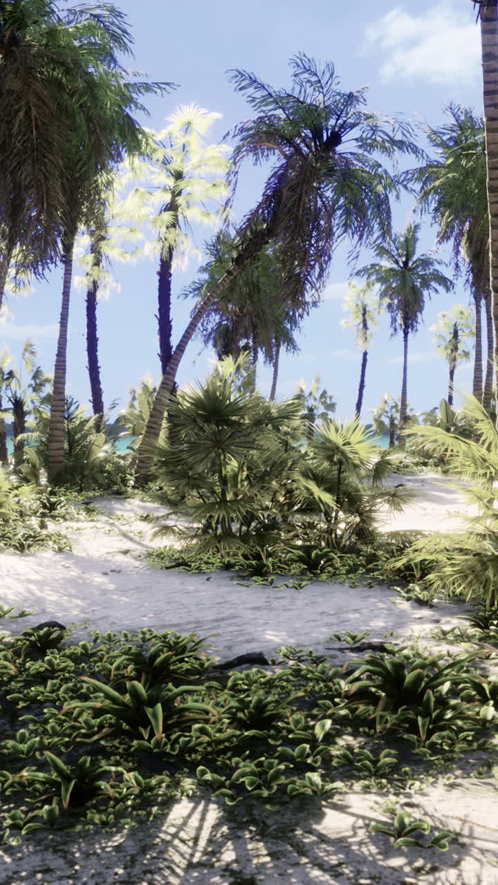 Tropical Beach Paradise with Palm Trees