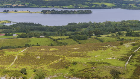 Zeitraffer-Der-Ländlichen-Landwirtschaftlichen-Naturlandschaft-Während-Des-Tages-In-Irland