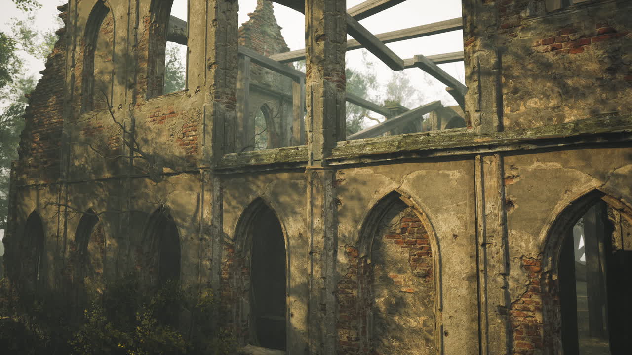 руины старого здания в лесу.