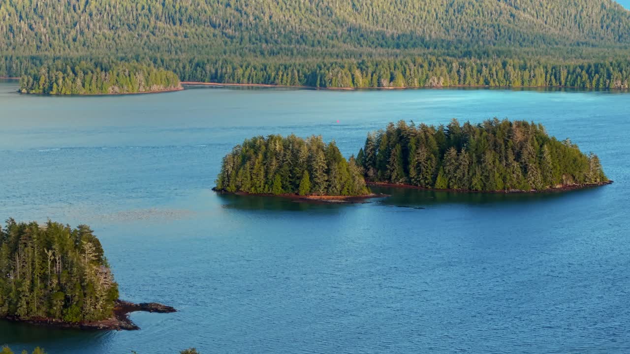 밴쿠버 섬에 있는 토피노의 드론 촬영은 가을의 색, 거친 해안선, 그리고 바다의 파도를 풍경적인 공중 전망으로 보여줍니다.