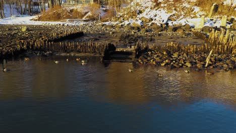 Langsame-Luftrutsche-Vorbei-An-Einer-Gruppe-Von-Enten,-Die-In-Einer-Flachen-Salzwasserbucht-Zwischen-Den-Überresten-Eines-Alten-Docks-Mit-Schnee-Im-Hintergrund-Auf-Und-Ab-Schaukeln