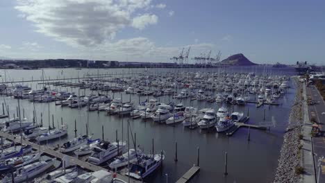 Puerto-Completo-Del-Puente-Tauranga-Con-Yates-Recreativos-En-Un-Día-Soleado,-Aéreo