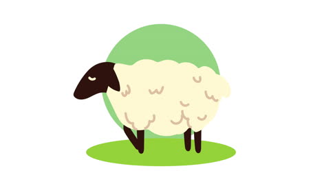 farm lifestyle animation with lamb
