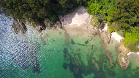 Aerial-descent-towards-tropical-paradise-tropical-beach-with-exotic-vegetation-on-a-sunny-day