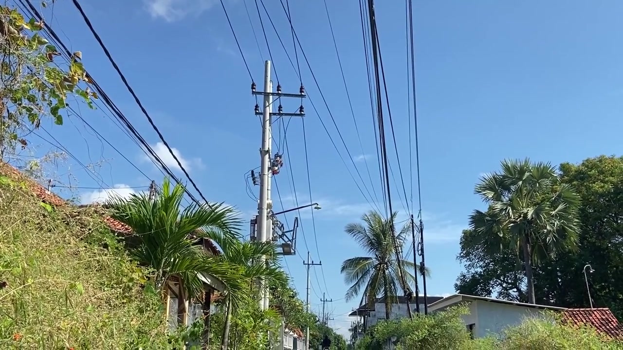 Rural Village Road with Power Lines and Palm Trees on a Sunny Day
