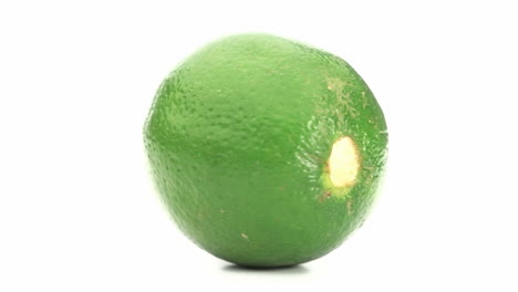 lime rotating