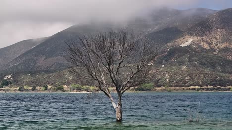 dead tree in the water of bouquet reservoir on a moody cloudy hazy day in southern california telephoto shot with a mountain background aerial dolly back 60fps