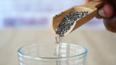 adding chia seeds to water