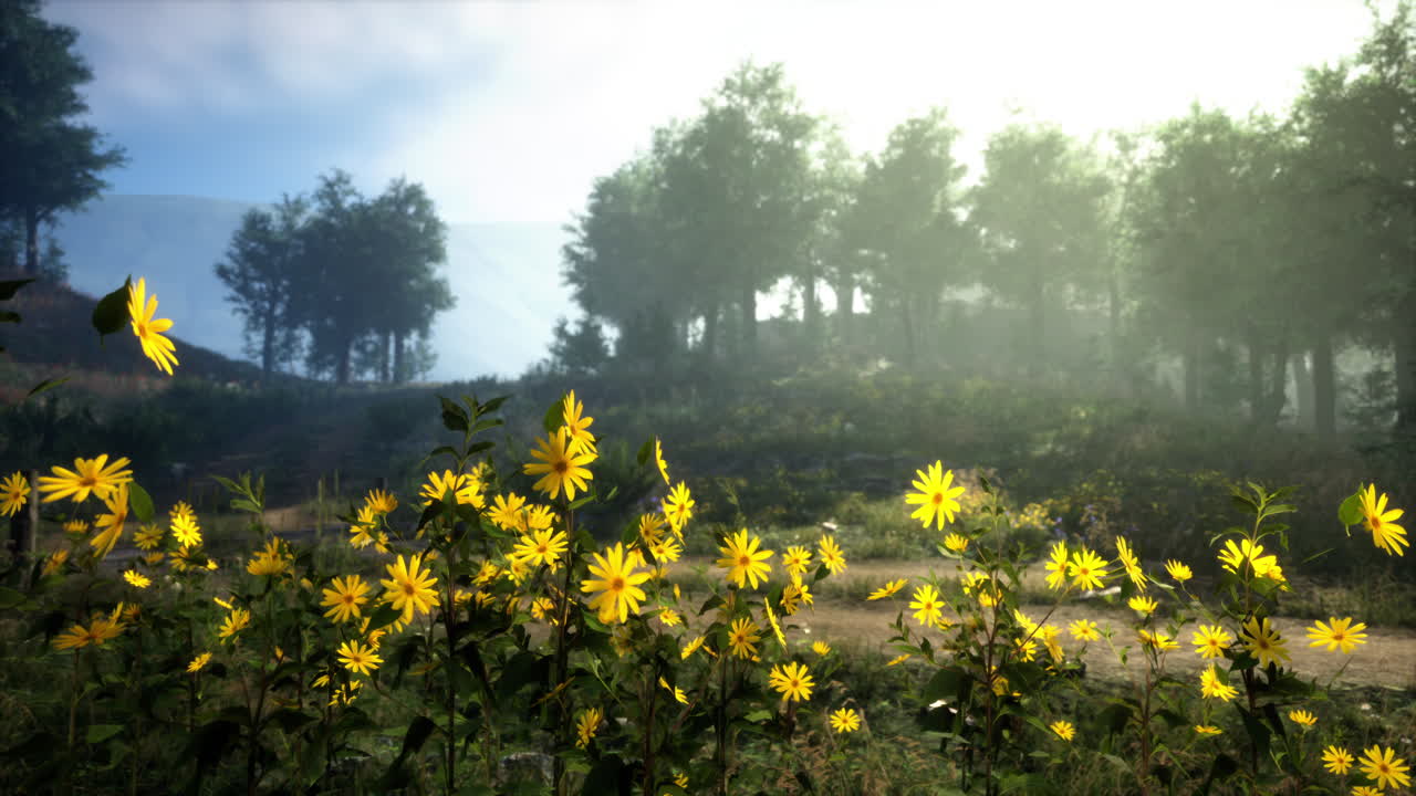 Yellow Wildflowers in a Foggy Forest
