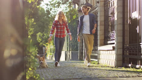 young couple walking corgi dog on the leash along the beautiful street